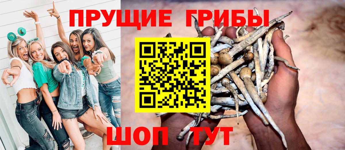 Галлюциногенные грибы мухоморы Кызыл