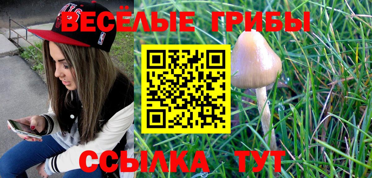 Кызыл  Галлюциногенные грибы прущие грибы  Псилоцибиновые грибы мухоморы  Вход с VPN 